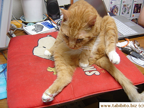 Daifoo's pubic hair showing