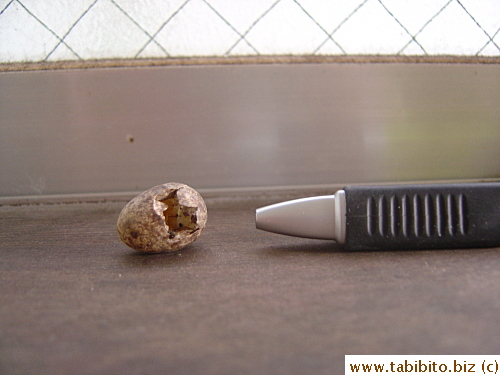 It's as big as the tip of a pen