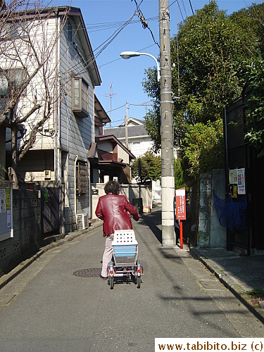 Mrs Y on her way to the vet to fix Mama Cat