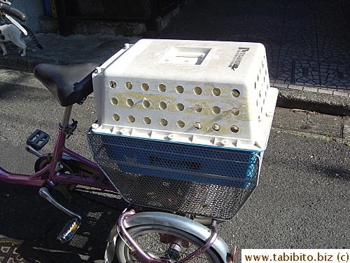 Mama Cat's loaded onto Mrs Y's bike