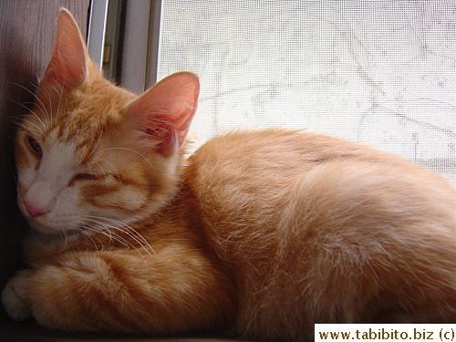 My camera woke him up, oops...