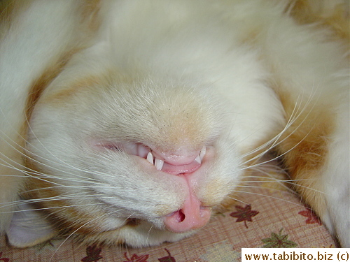 with another open mouth