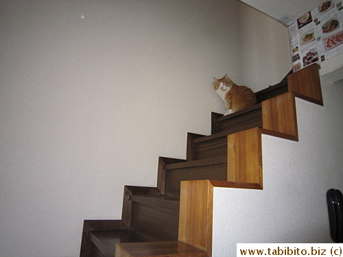 Efoo was most uncoorperative and difficult on 3/11