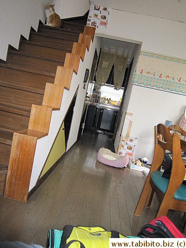 Maintains a safe distance from the carry case